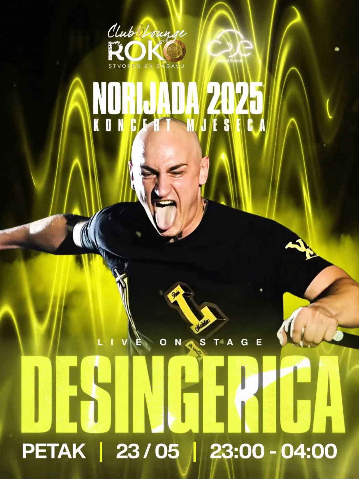 DESINGERICA LIVE ON STAGE